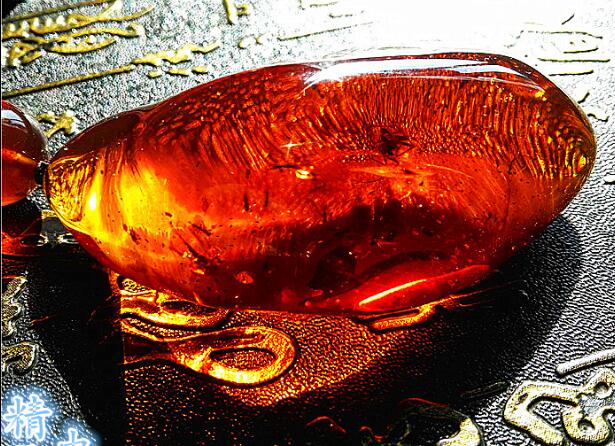 琥珀是怎么形成的，琥珀的價(jià)格是多少錢一克